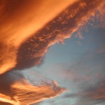DSCN0731