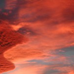 DSCN0745