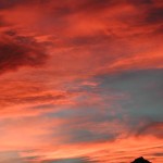 DSCN0747