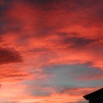 DSCN0748