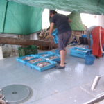 visafslag-calpe-3